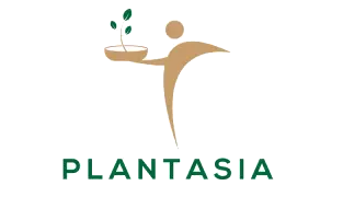 Plant Asia