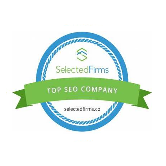 top-web-design-and-seo-company-in-the-usa1